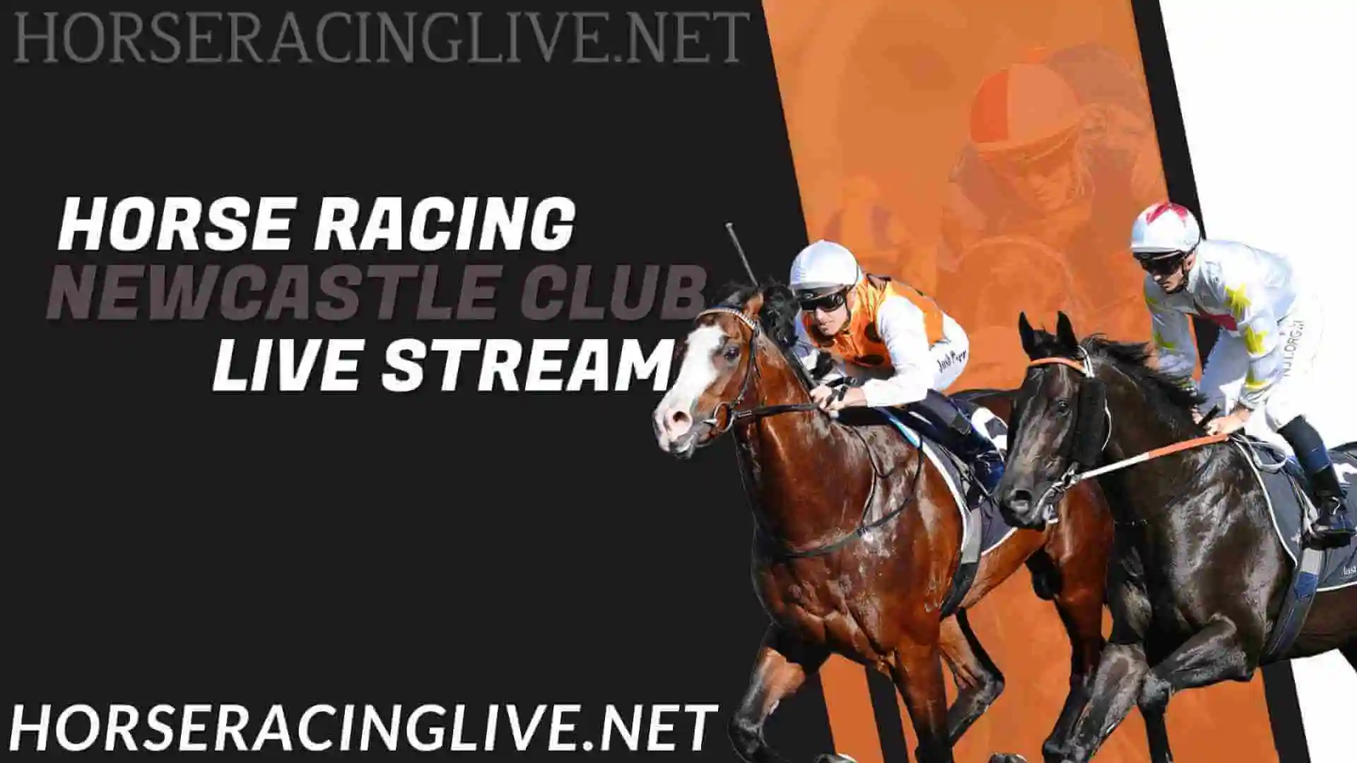 Newcastle Horse Racing Live Stream 2024 slider