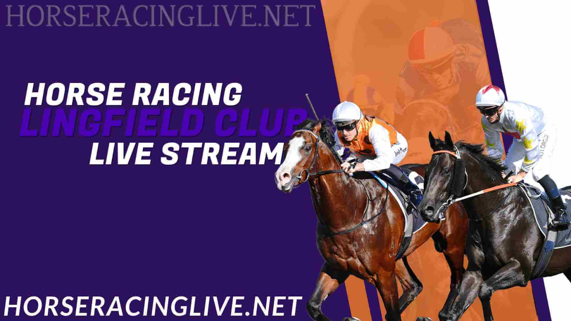 Lingfield Park Horse Racing Live Stream 2024 slider