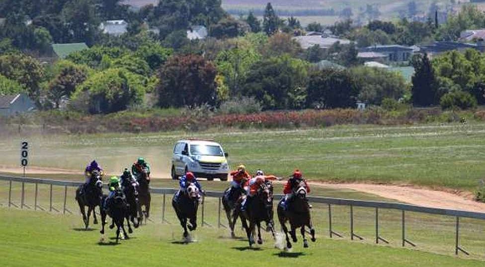 Durbanville Racecourse Horse Racing Live Stream Results Stats